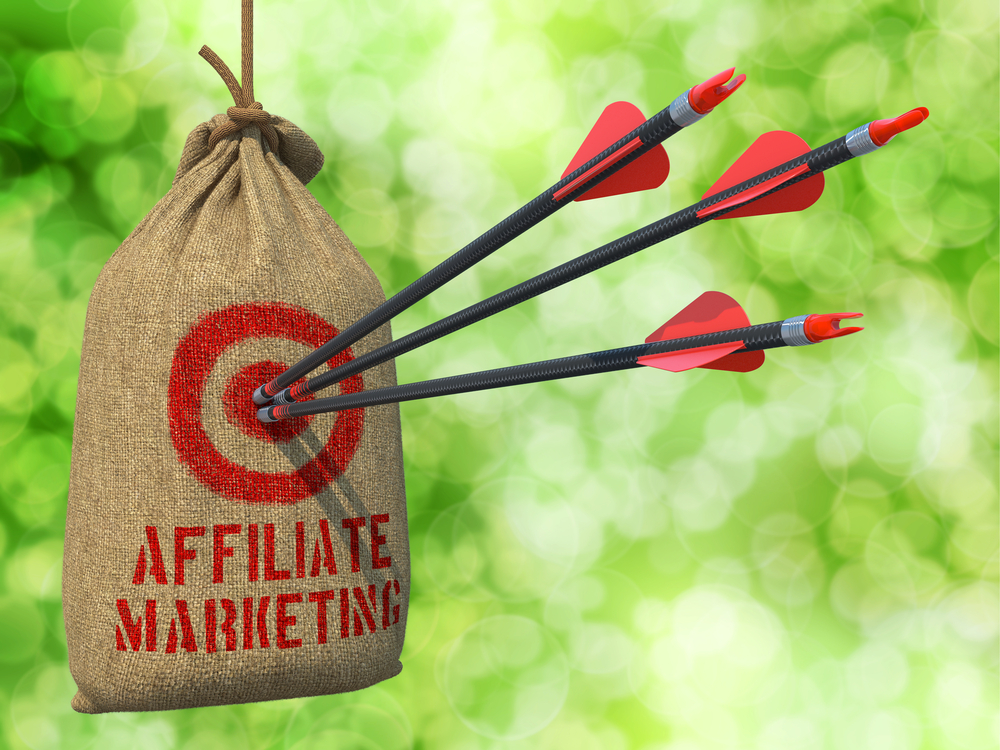 Affiliate Marketing - Three Arrows Hit in Red Target on a Hanging Sack on Green Bokeh Background.